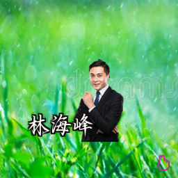 林海峰